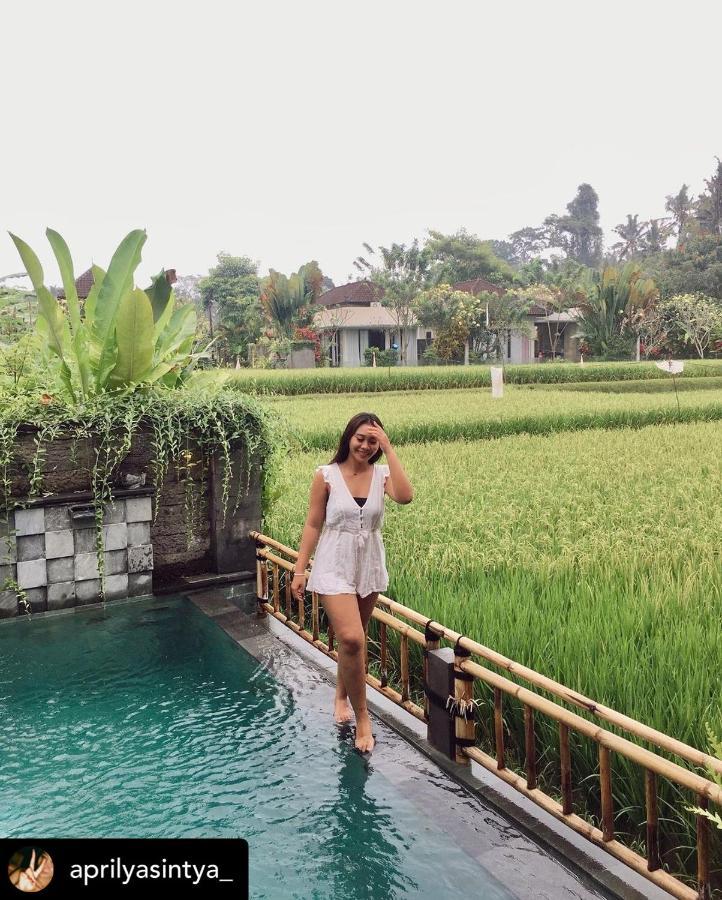 Nirankara Private Pool Villa - By Ubud Paradise Εξωτερικό φωτογραφία