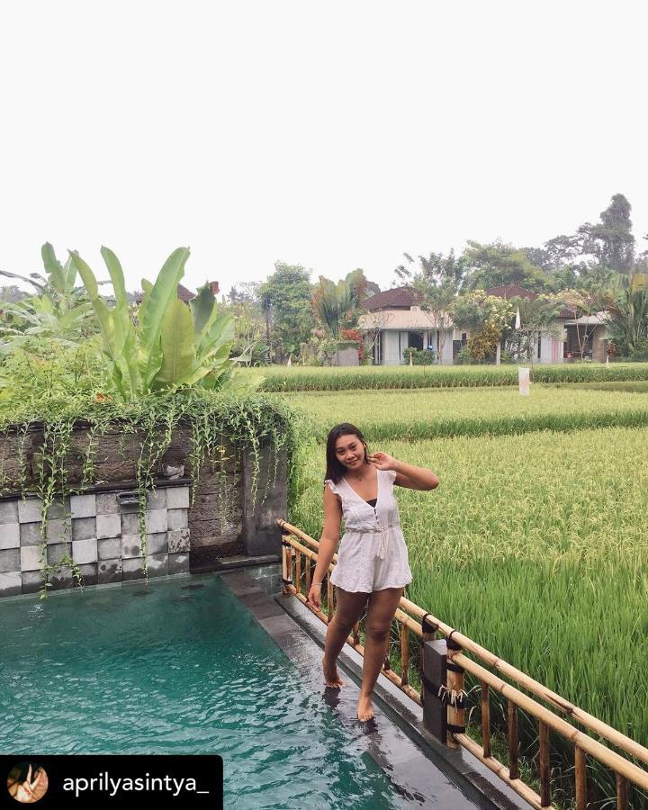 Nirankara Private Pool Villa - By Ubud Paradise Εξωτερικό φωτογραφία